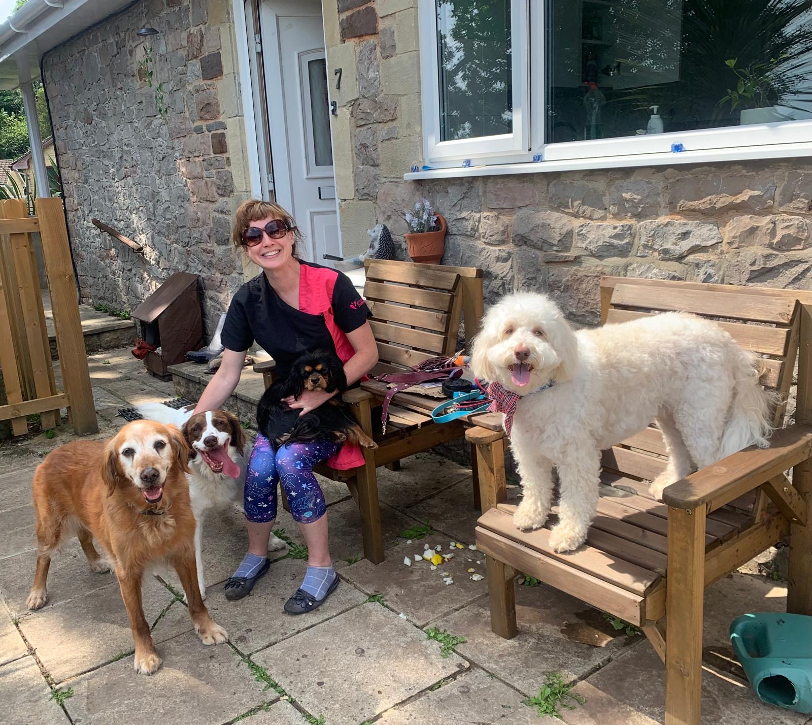 Lots of dogs with Karen